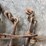 chain-binder-ratcheting-image-11