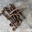 chain-binders-ratcheting-image-1