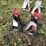 jack-stands---pair-image-1