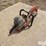 homelite-dm50-gas-chop-saw-image-5