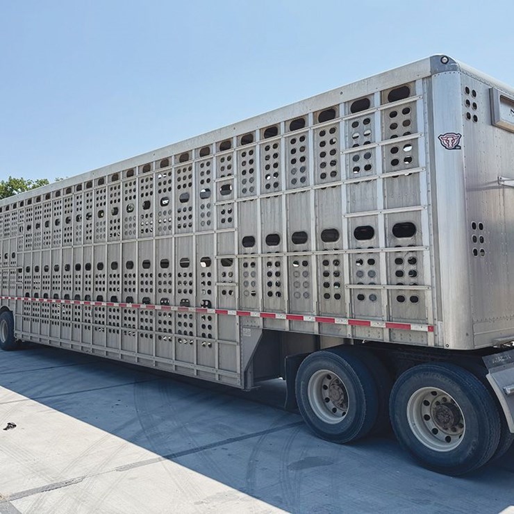 2025 EBY Livestock