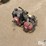 honda-4-stroke-gas-powered-portable-water-pump-image-1