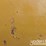 2019-caterpillar-336-image-84