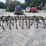 12'--3pt-hitch-field-cultivator-image-6