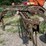 side-delivery-hay-rake-image-11