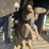 future-sg45-stump-grinder-image-3