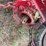 ford-8n-image-21