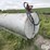 1,000-gal-fule-tank-w/-pump-image-3