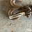 log-chains-image-15