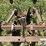 john-deere-2-image-20