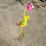 #182-•-ostrich-image-4