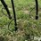 john-deere-240-image-14