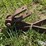john-deere-2-image-9