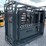nt-bronco-squeeze-chute-image-5