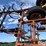 krause-4129-image-20