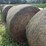 20-net-wrapped-4x5-2nd-crop-alfalfa/grass-mix-image-3
