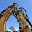 2008-caterpillar-430e-image-15