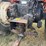 allis-chalmers-7080-tractor-image-15