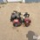 honda-4-stroke-gas-powered-portable-water-pump-image-2