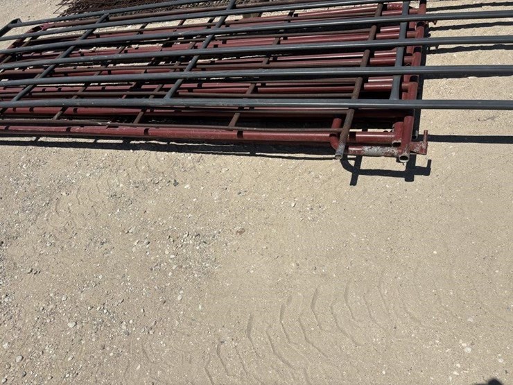 l3---light-to-med-cattle-panel-image-2