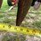 sunflower-4412-5-shank-disk-ripper-image-19