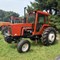haycreek-livestock-farms---inventory-reduction-auction-image-2