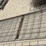 l3---(2)16x3-small-livestock-panels-image-1