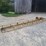 bale-conveyor-w/electric-motor-image-1