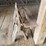 (3)-sawhorses,-(1)-roll-of-snow-fence-w/wooden-box-image-8