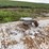 1,000-gal-fule-tank-w/-pump-image-14