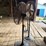 (3)-32"-livestock-fans-w/stands-and-electric-motor-image-3