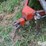 caldwell-gc-image-20