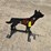 #6886-•-kiit-container-metal-coyote-target-image-5