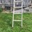 aluminum-extension-ladder-image-7