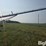 peck-1002-image-4