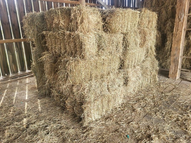 (50)-small-square-bales-of-1st-cutting-hay-in-2025-image-3