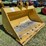 caterpillar-60-image-2
