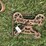hay-trolley-&-harpoon-fork,-drive-belt-image-3