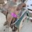 sl---saddle-&-stand-image-5