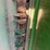 john-deere-9350-image-18