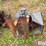 anco-5-hp-electric-winch-image-14
