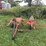 kuhn-gf222t-image-1