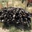 l3--200-6'-t-posts-image-2