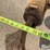 char-lynn-hydraulic-motor-image-11