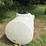 325-gallon-poly-tank-image-4