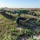 john-deere-2800-image-3