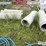 concrete-culverts-image-6