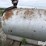 1,000-gal-fule-tank-w/-pump-image-20