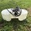 fimco-25-gallon-sprayer-w/pump-image-4