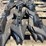 cultivator-sweeps-image-2